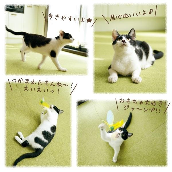 犬 猫 滑り止め ピタッと吸着タイルマット　ロングサイズ (60×90ｃｍ) 8枚入り 廊下 大きめ ペット ペピイ PEPPY_3