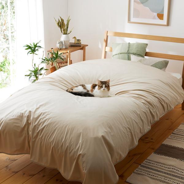 ◆Bauhaus ドイツ製 メジャー 新品デットストック◆ ◇Bauhaus ドイツ製 メジャー 新品デットストック◇ バウハウス創立100