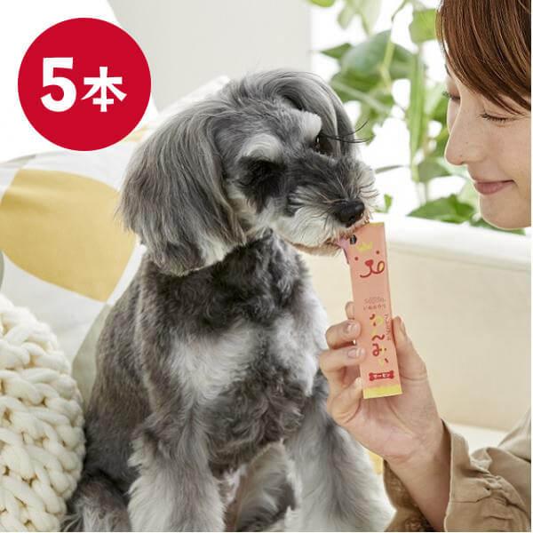 犬おやつ Ｓｉｐｐｏｌｅ プレミアム　わんみぃ 5本　犬 いぬ おやつ ご褒美 トッピング ペースト ゼリー 美味しい 国産 無添加 安心 ペット ペピイ PE｜peppynet