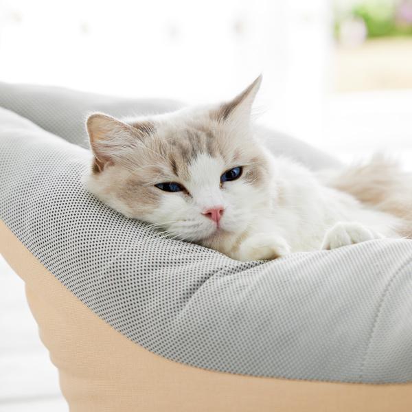 セール】 ボートベッド カラフル : PEPPY ペピイ Yahoo!店 - 通販