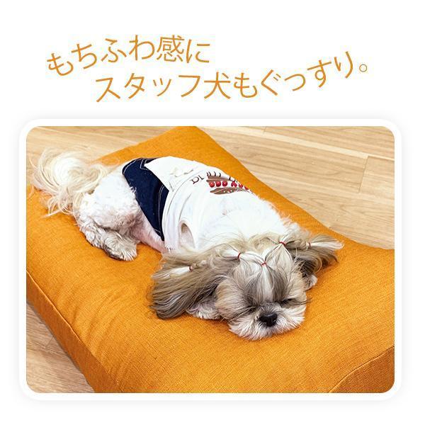 もっちりカウチ 本体+夏用パッド 犬 猫 ベッド 夏 クール ひんやり