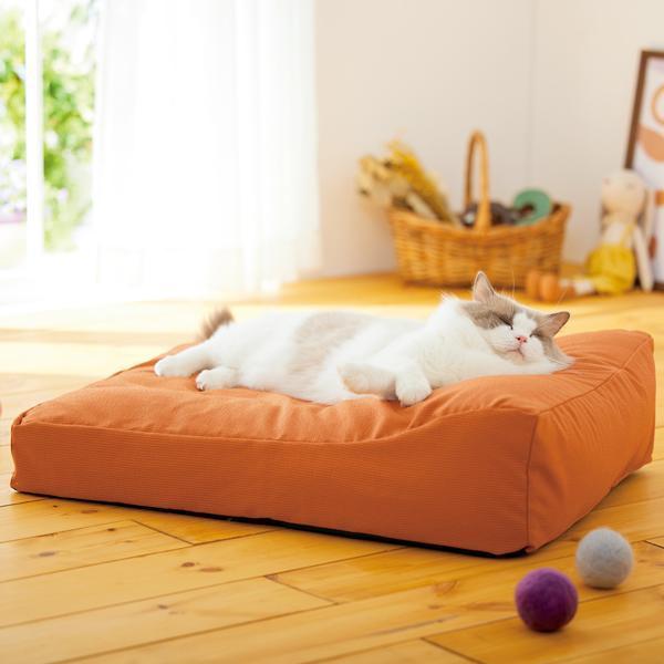 もっちりカウチ 本体+夏用パッド 犬 猫 ベッド 夏 クール ひんやり