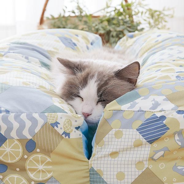 PEPPY（ペピイ） 【セール】 涼眠ふかふか挟まれクッション M : PEPPY