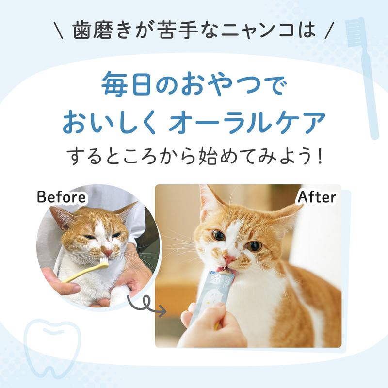 ぐでねこちゃんとビジュー 金木犀b ぐでねこちゃんとビジュー 金木犀b