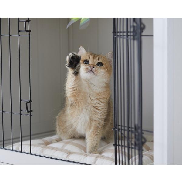 PEPPY（ペピイ） 2階建てわんにゃんルーム 犬 猫 ケージ いぬ 縦型