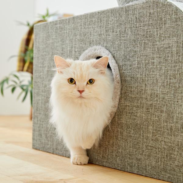 PEPPY つながるトンネルタワー 猫 ねこ キャットタワー 据え置き