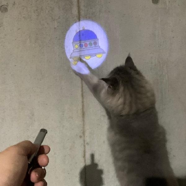 月刊ムーコラボ　ＵＦＯプロジェクターライト　猫 ねこ おもちゃ UMA 未確認動物 宇宙 宇宙猫 ペット｜peppynet｜02