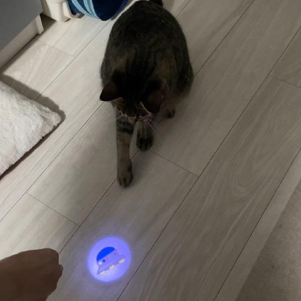 月刊ムーコラボ　ＵＦＯプロジェクターライト　猫 ねこ おもちゃ UMA 未確認動物 宇宙 宇宙猫 ペット｜peppynet｜06