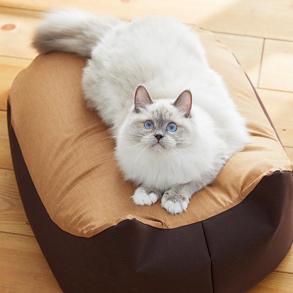 PEPPY Sippole にゃんこビーズクッション 本体+デニム替え