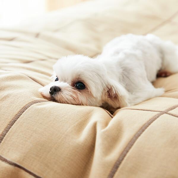 PEPPY（ペピイ） 【セール】 ふんわりオーガニック ガーゼ防水カバー