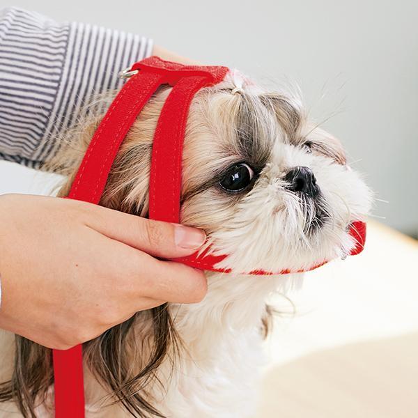 PEPPY（ペピイ） 抜けにくいショルダーハーネス S レッドチェック