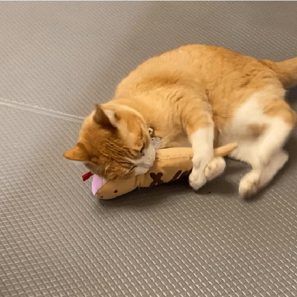 PEPPY（ペピイ） 月刊ムー コラボ 帰ってきたツチノコ キッカー 猫