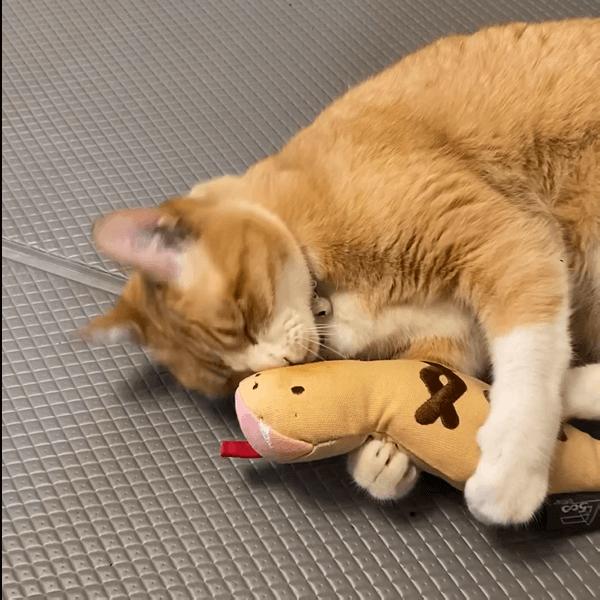 PEPPY（ペピイ） 月刊ムー コラボ 帰ってきたツチノコ キッカー 猫