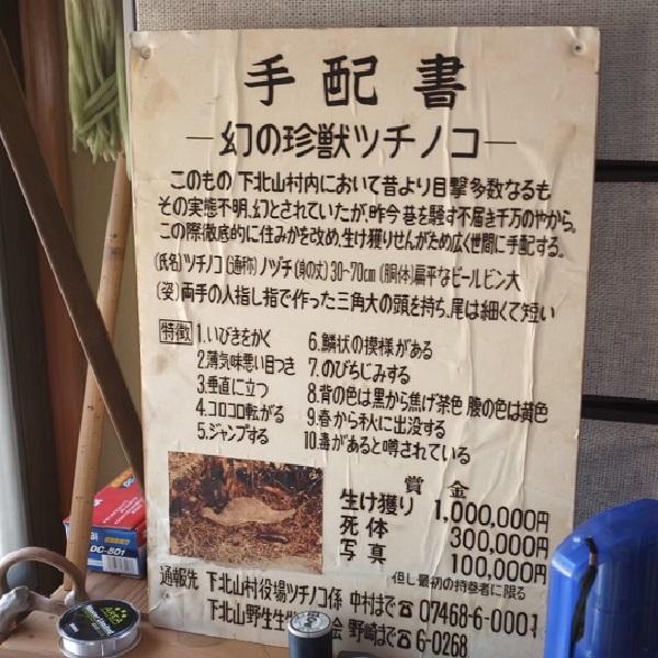 PEPPY（ペピイ） 月刊ムー コラボ 帰ってきたツチノコ キッカー 猫