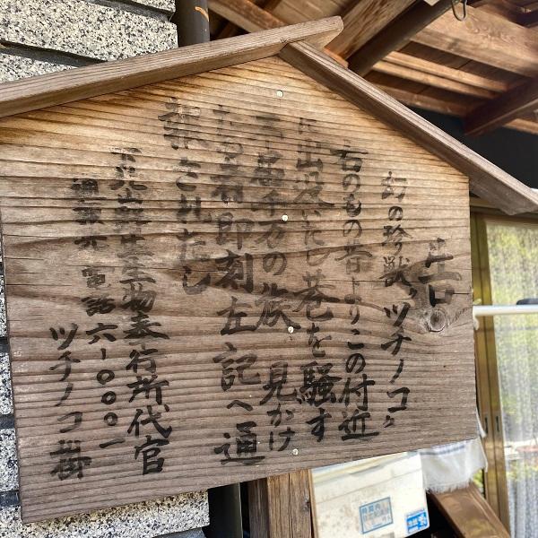 PEPPY（ペピイ） 月刊ムー コラボ 帰ってきたツチノコ キッカー 猫