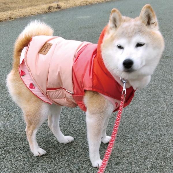 迫力満点の書道作品『観清』工芸作品 大幅 掛軸 中国美術品 インテリア