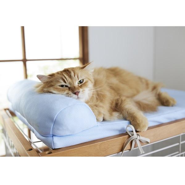 ねこページ みかんページです☆ ミカン様 ミカン様 蜜柑様 レビュー】ZX