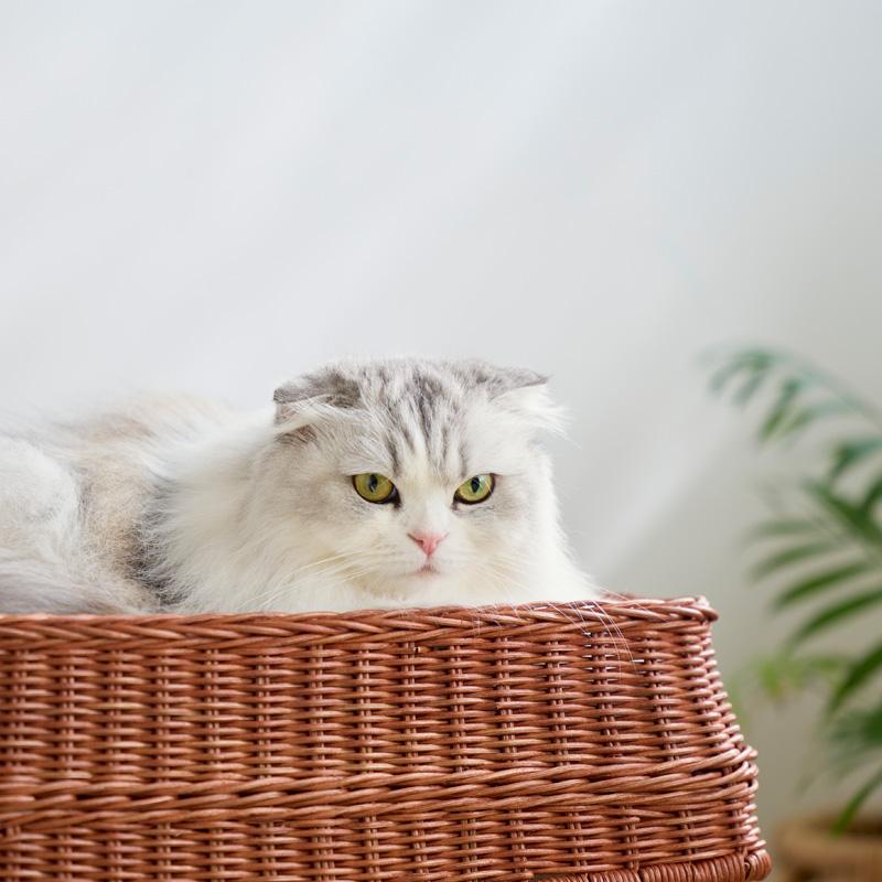 3階建てラタン キャットハウス 猫 ラタン ハウス 高級感 高さ60cm 多頭