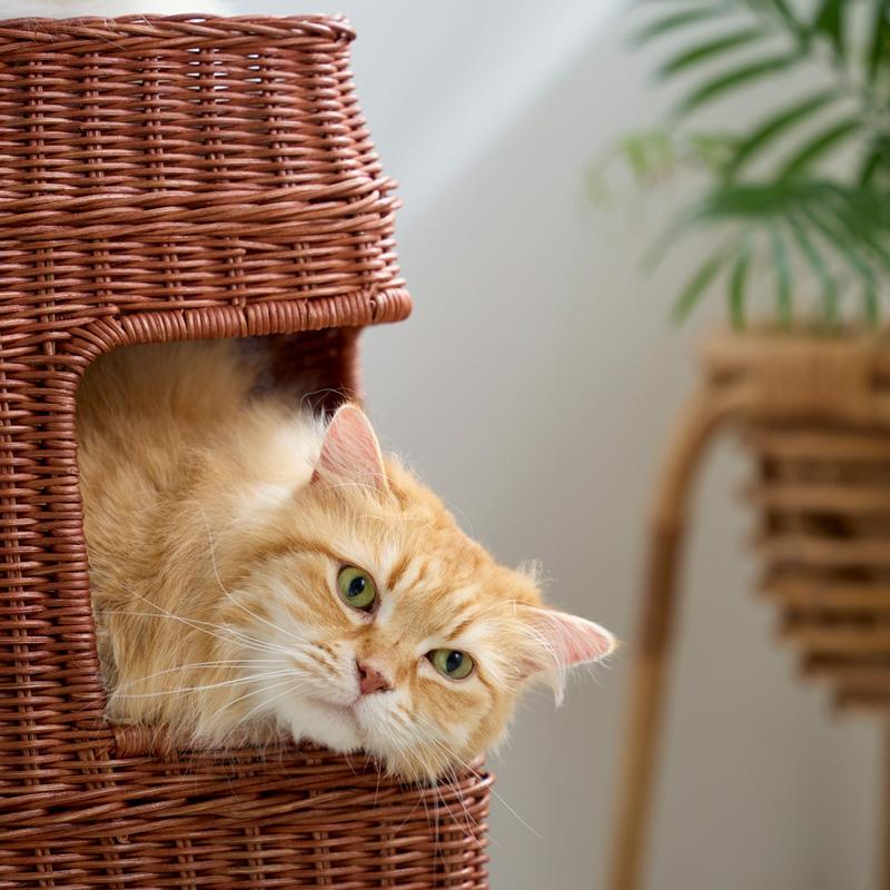 3階建てラタン キャットハウス 猫 ラタン ハウス 高級感 高さ60cm 多頭