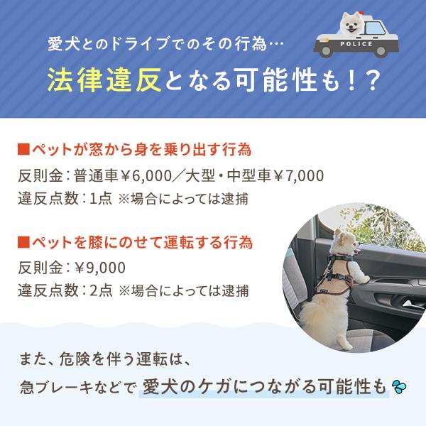 座ったまま景色が見えるドライブボックス 犬 ペット 車 ドライブ