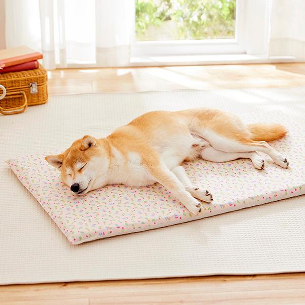 眠る時間が増えてきた子の高反発マット 介護用マット シニア犬 老犬