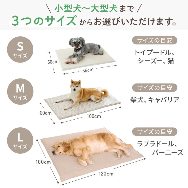 眠る時間が増えてきた子の高反発マット 介護用マット シニア犬 老犬