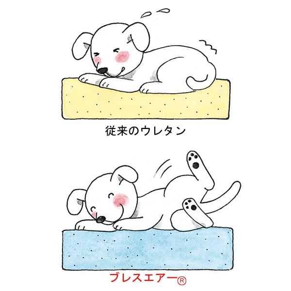 フィーヌエアーマット (床ずれ防止ブレスエア)｜ 介護用マット 犬猫用Mサイズ 楽天市場】フィーヌエアーマット S 50×75cm ブレスエアー 介護