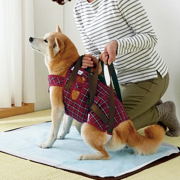 犬 介護 アシスタントバンド リフト 着丈52×バスト最小70×最大75cm、ウエスト68〜72cm シニア 老犬 補助 散歩 歩行 中型犬 大型犬｜peppynet｜02