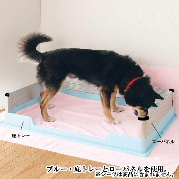 お値下げしました 大型犬　トイレトレー　抗菌 フルフラット Amazon | 犬 トイレ トレー スーパーワイド 大型犬 特大 1020 x 710 x
