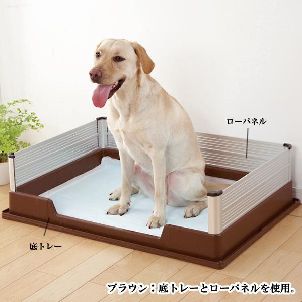 お値下げしました 大型犬　トイレトレー　抗菌 フルフラット Amazon | DogLife 犬 トイレ トレー 大型犬 特大 スーパー ワイド