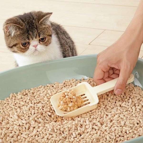 リフレサンド ひのき 7L×12個 猫砂 木粉系 消臭 固まる 抗菌 トイレ トイレに流せる 猫 猫用品 猫用 ペットグッズ 国産 日本産 爆買の画像