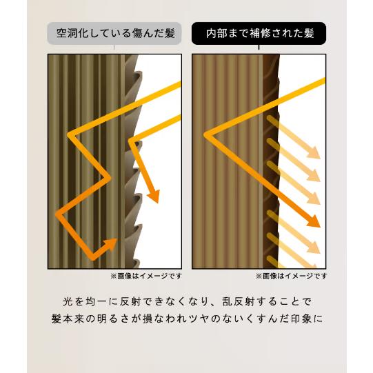 MORE BLOOM エステヘッドバス 濃密クリームシャンプー モア MORE BLOOM エステヘッドバス 濃密クリームシャンプー モア