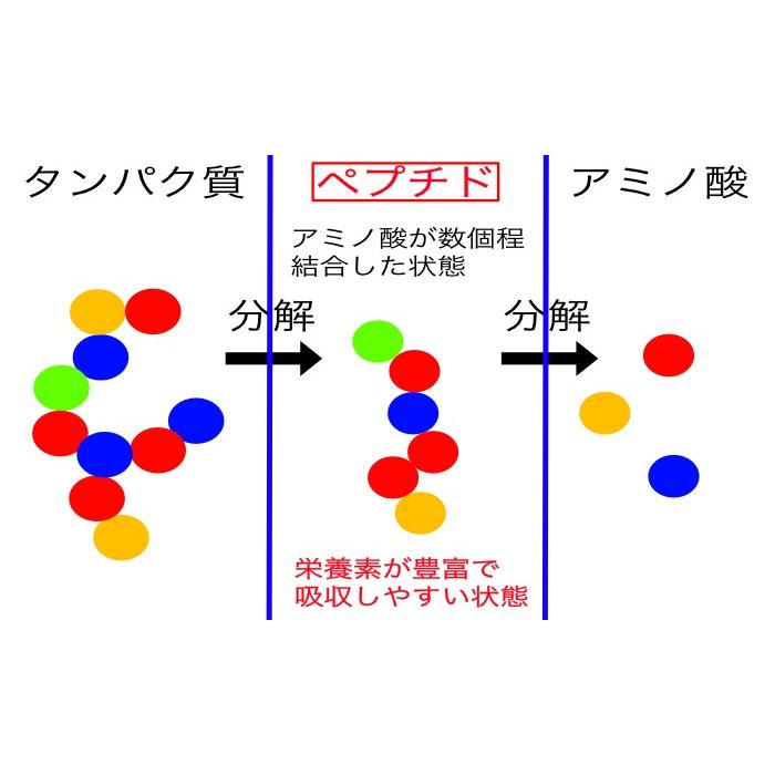 【無添加粉末ペプチドだしの極み】味わいだし　500ｇ |  | 05
