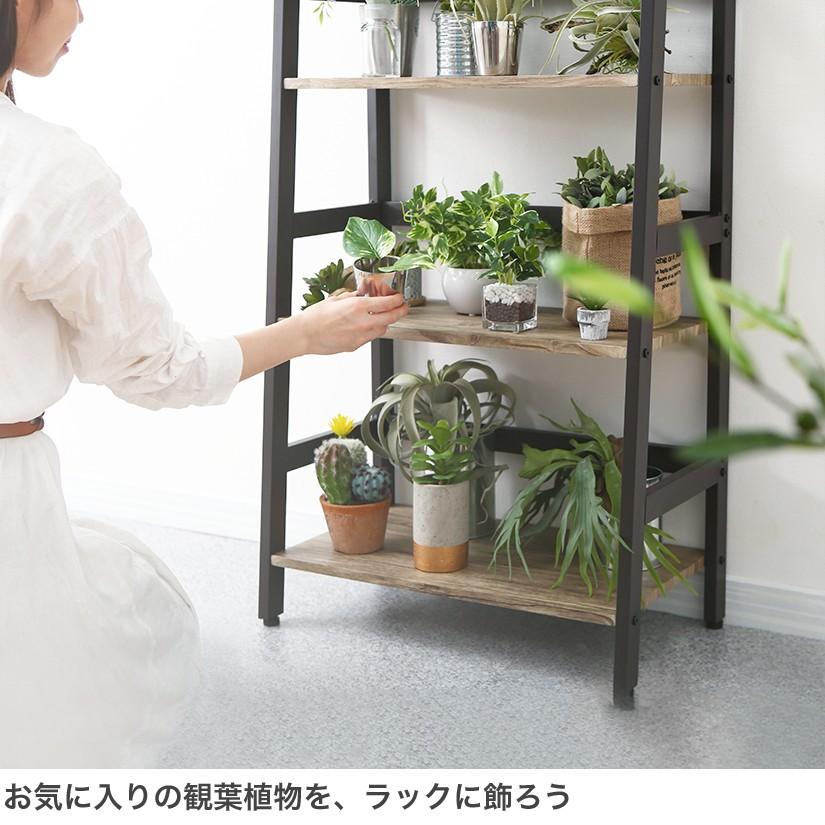 DOSHISHA（ドウシシャ） インテリアシェルフベルーモ 4段 幅60 奥行34