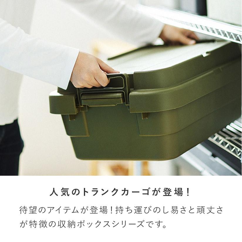 頑丈収納ボックストランクカーゴL・浅型 幅80×奥40×高さ24cm 1個