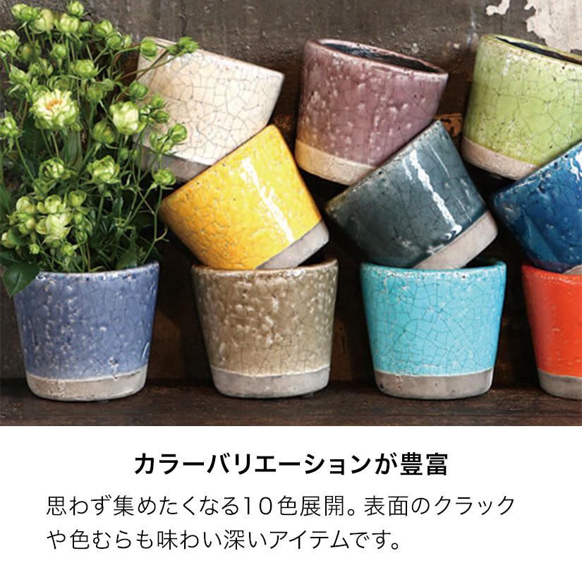 ダルトン/ボタニカルアート/2枚セット/入手困難 ダルトン/ボタニカルアート/2枚セット/入手困難 DULTON ONLINE SHOP