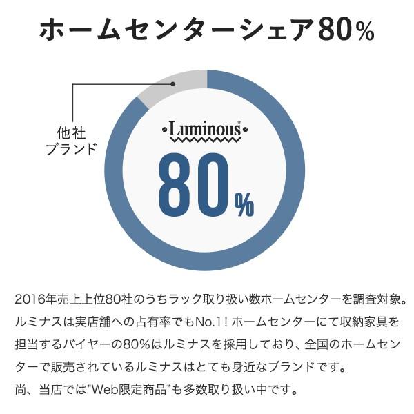 ルミナス スチールラック 幅46 奥行46 高さ155 4段 レギュラー アルミ 25mm NLH4615-4_5