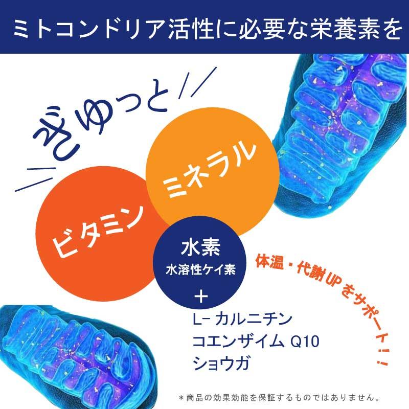 【37℃】ミトコンDブースターH2 （120粒入）約30日分 37sp MitochonD Booster H2 / ミトコンDブースターエイチツー