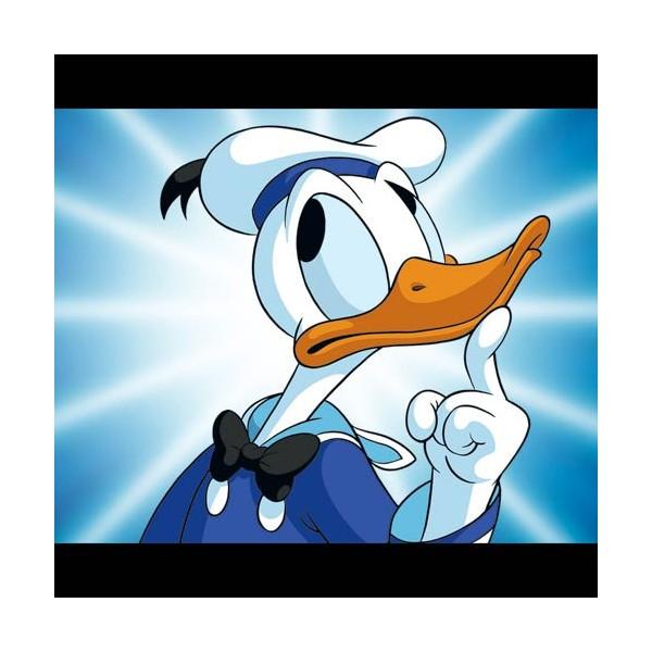 ディズニ セル画 『Donald Duck Triptych』 ドナルド（ミッキー