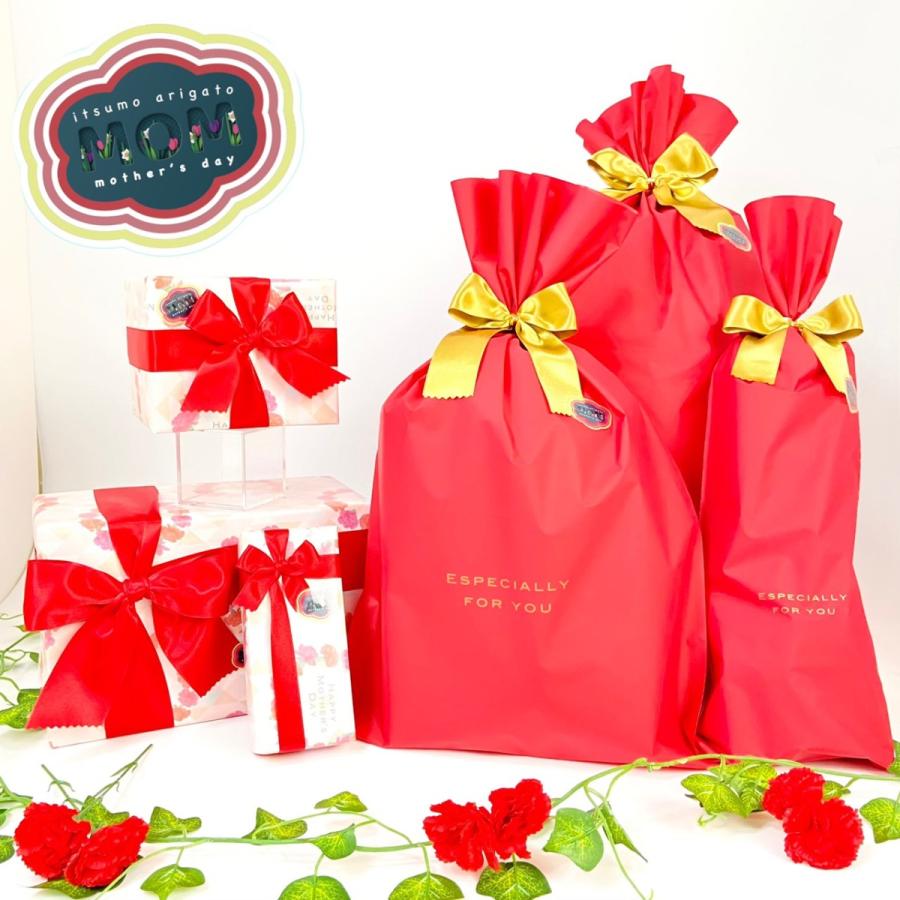 母の日ラッピング 母の日ギフト プレゼント レッド カーネーション 有料ラッピング 7777 Mothersdaywp パーフェクトワールド 通販 Yahoo ショッピング