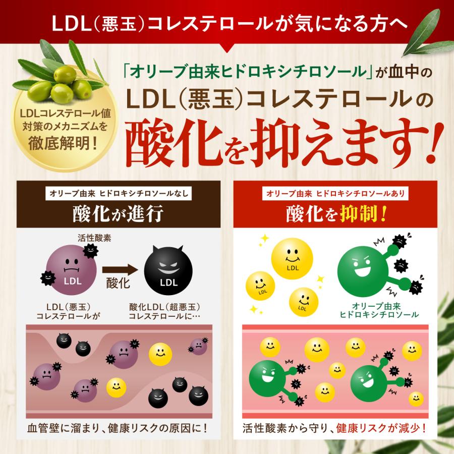 コレステロール・脂肪のWケア LDL悪玉 コレステ 対策 お腹の脂肪 内臓