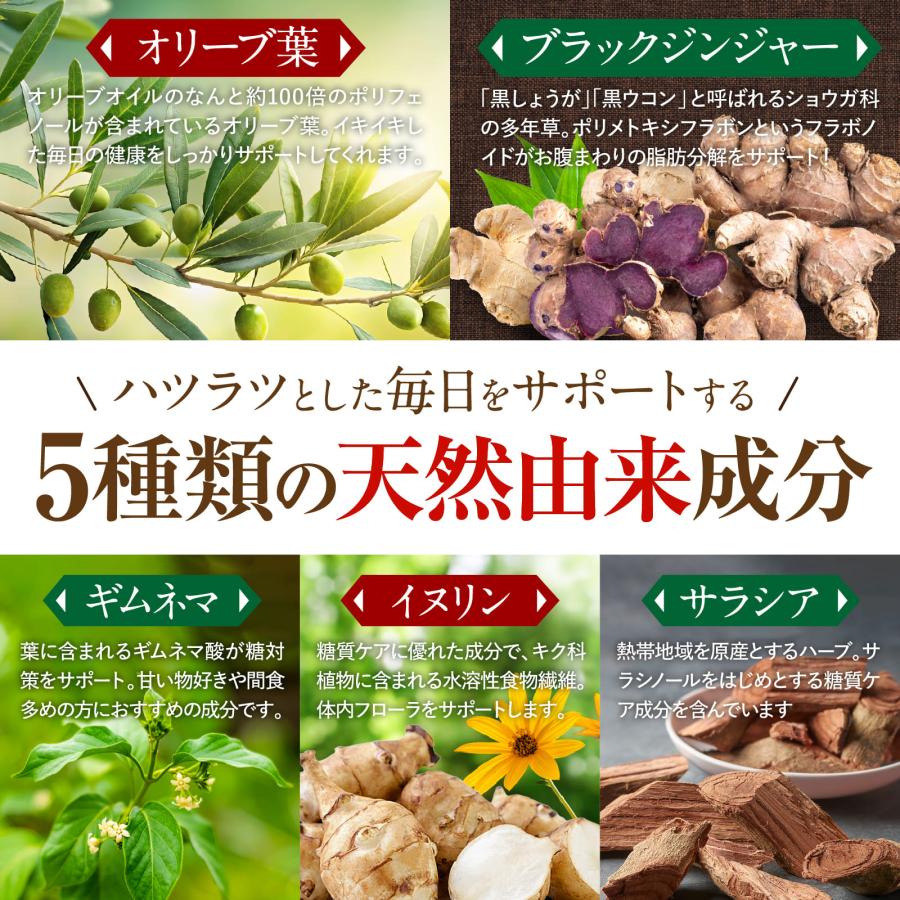 コレステロール・脂肪のWケア LDL悪玉 コレステ 対策 お腹の脂肪 内臓