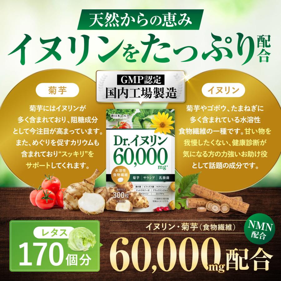 イヌリン Dr.イヌリン60,000mg 水溶性食物繊維 菊芋 サラシア 乳酸菌