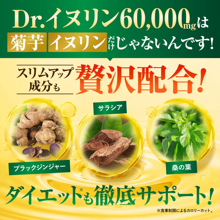 イヌリン Dr.イヌリン60,000mg 水溶性食物繊維 菊芋 サラシア 乳酸菌
