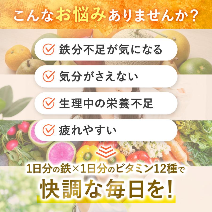 鉄分 マルチビタミン 鉄分21mg × マルチビタミン12種 1日分のビタミン