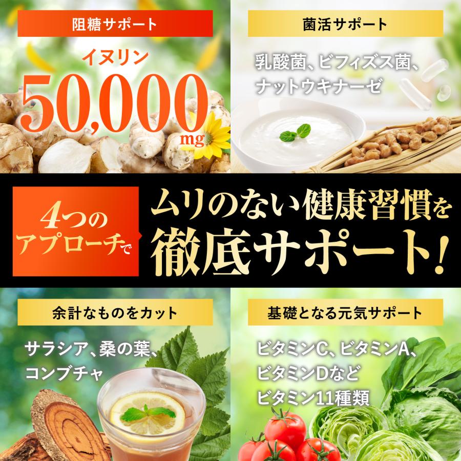 イヌリン 金のイヌリン 50,000mg 水溶性 食物繊維 菊芋 国内GMP製造