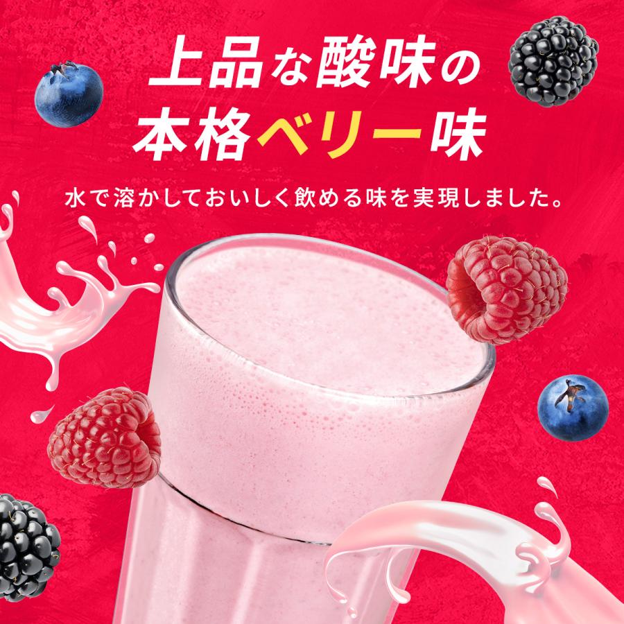 完全食WHEY ホエイ プロテイン 完全栄養食 ビタミン13種 ミネラル13種