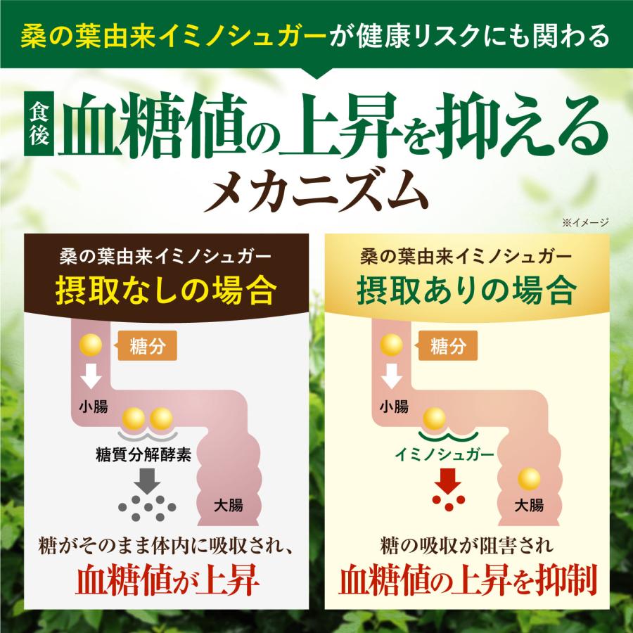 血糖値・脂肪のWケア 食後の血糖値を抑える 脂肪を減らす 60粒 機能性