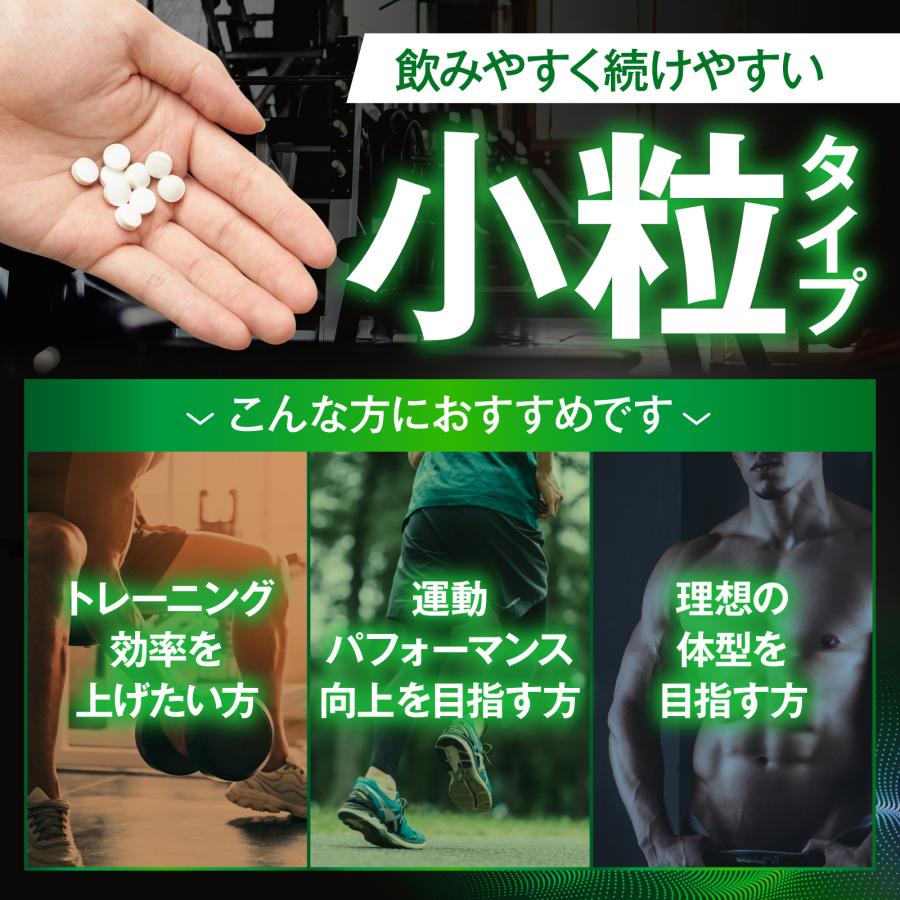 ダン・グレアムによるダン・グレアム カタログ 付録つき 51-y6qR5gSL.jpg