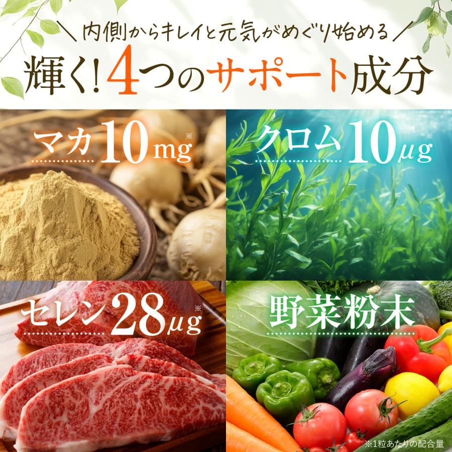 高濃度リポソーム亜鉛15 高吸収 亜鉛15mg クロム10μg マカ10mg セレン 
